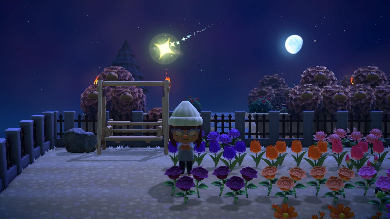 Animal Crossing Image2