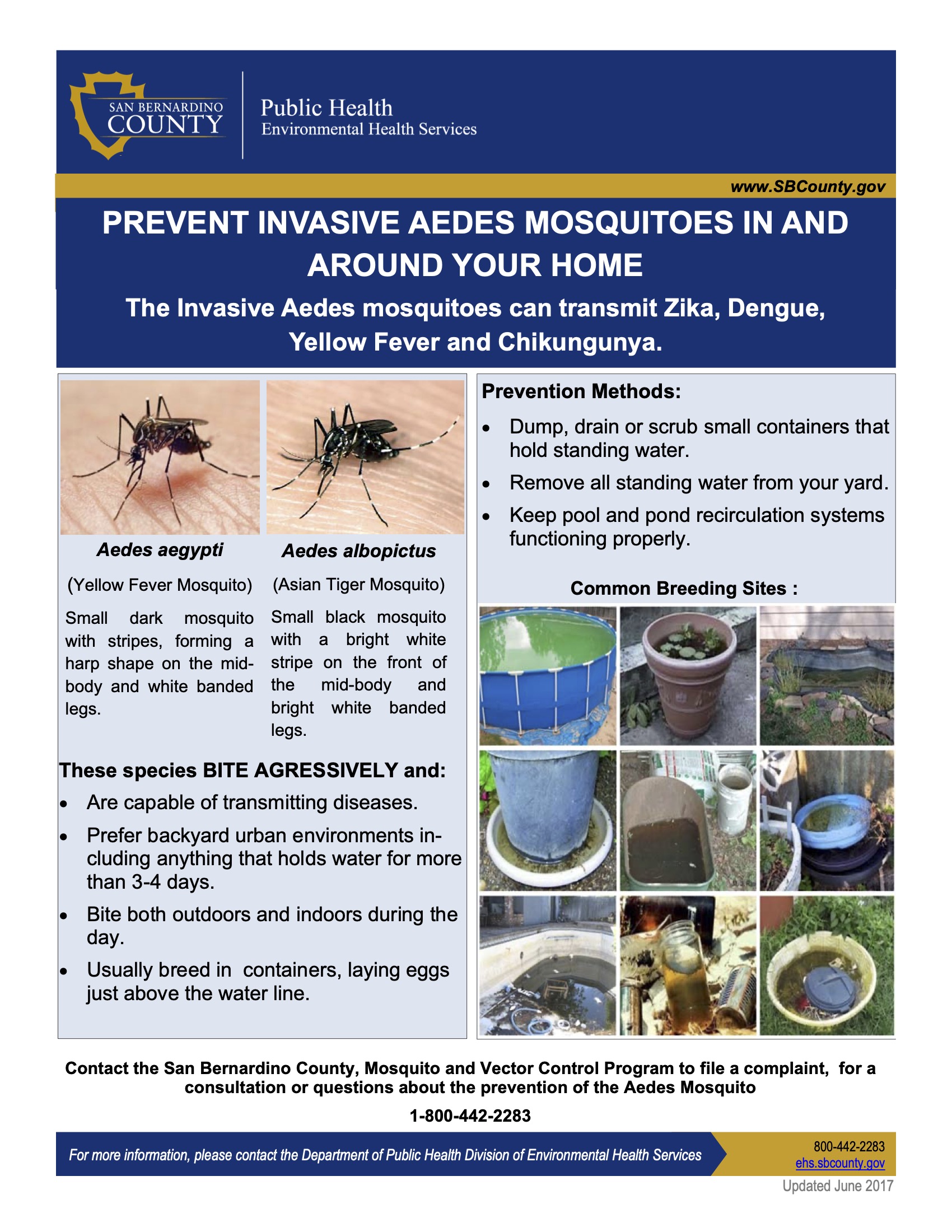 Aedes Flyer (1)