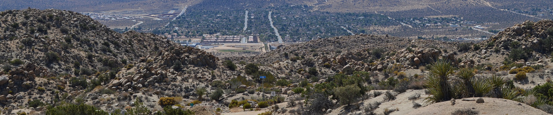 Desert Dirt Road